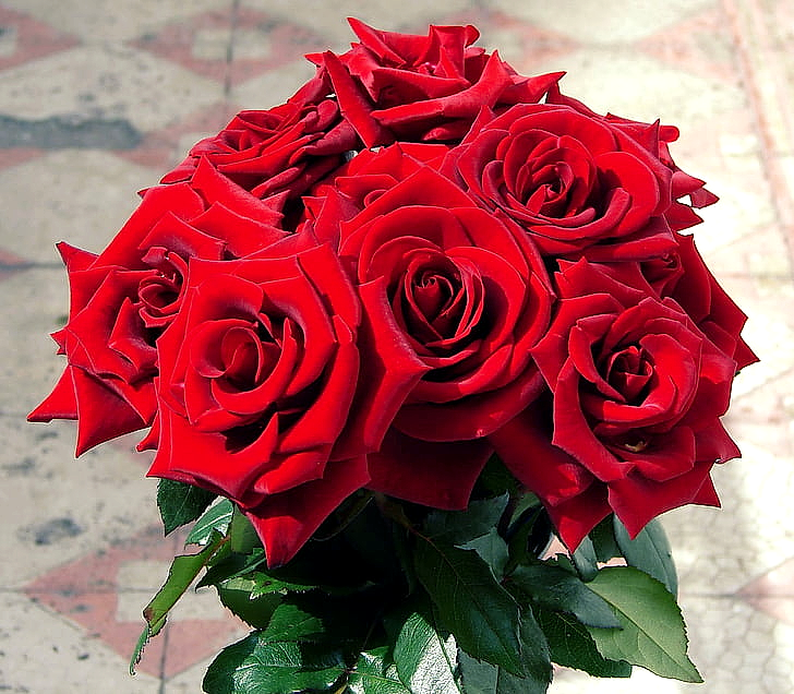 Flower Collection