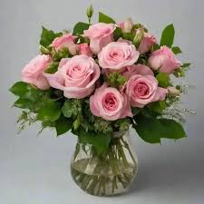 A delicate pink rose in full bloom, showcasing the elegance of roses in nature.