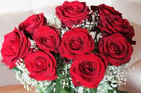 A stunning arrangement of various roses in different colors, highlighting the diversity of rose flowers.