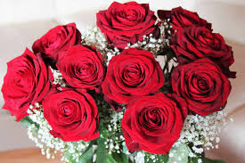 A stunning arrangement of various roses in different colors, highlighting the diversity of rose flowers.
